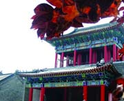 昌邑天气预报10天